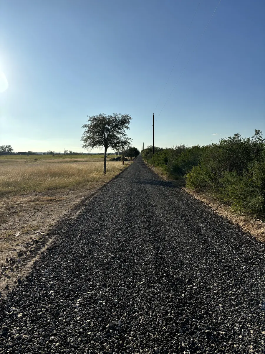 Long straight drive with a fresh dark crushed surface, running toward a lone tree