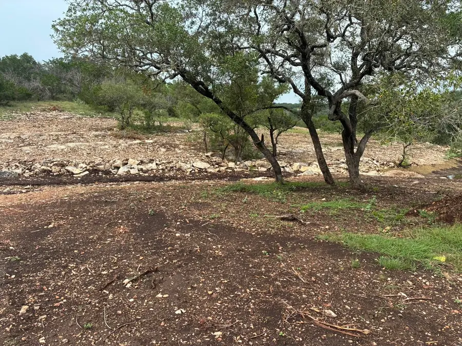 Cleared ground under a stand of oak trees that were kept