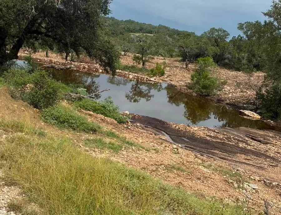 Stock tank holding water below a cleared bank and live oaks, beside a gravel road